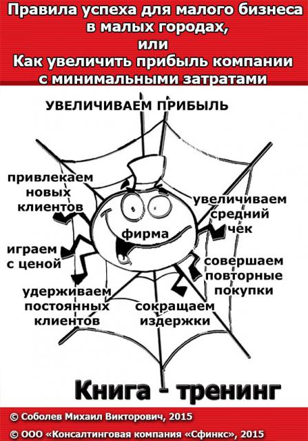Правила успеха для малого бизнеса в малых городах (бизнес-книга) Правила успеха для малого бизнеса в малых городах (бизнес-книга)